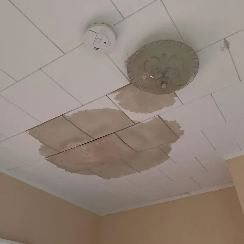 Ceiling Water Damage Repair in Plainfield, CT