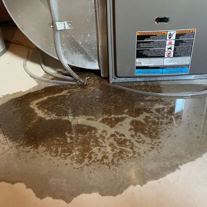 Pipe Burst and Leak Restoration in Plainfield, CT