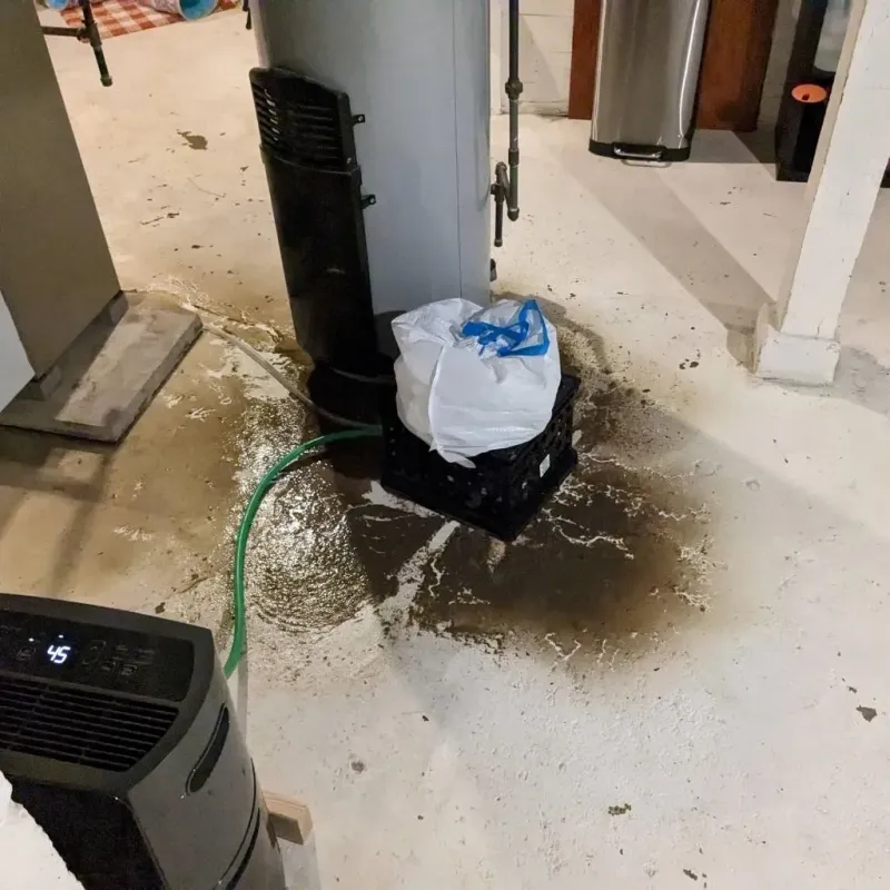Sewage Backup Cleanup Service in Plainfield, CT